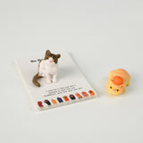 Cute Little Cat, Pocket Hug, 10 Pieces for 1 Set