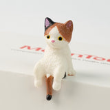 Cute Little Cat, Pocket Hug, 10 Pieces for 1 Set