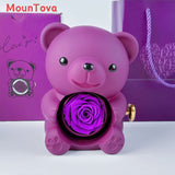 Mountova Teddy Bear Gift Box with Rotating Eternal Flower(Royal Purple)