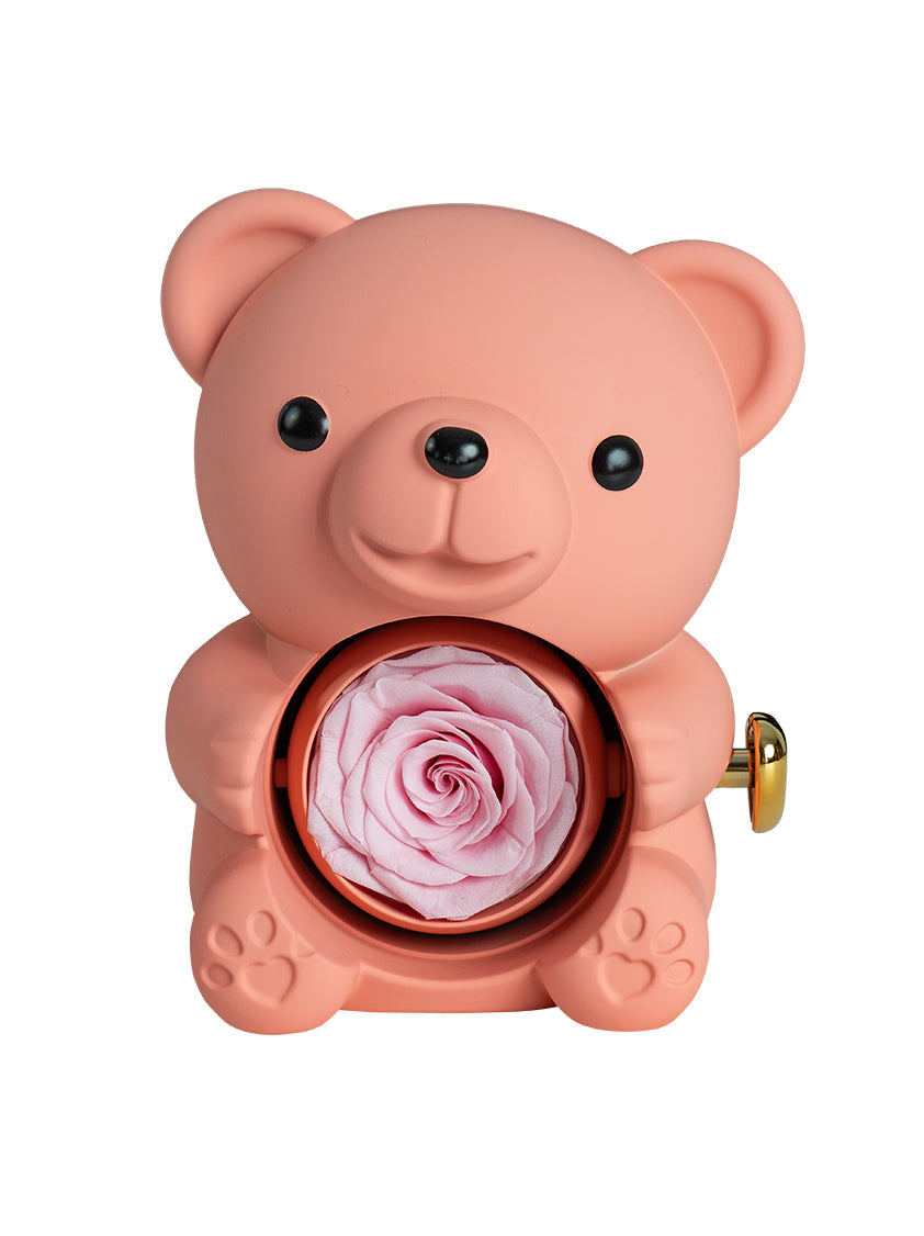 Mountova Teddy Bear and Rose, Gift Box with Rotating Eternal Flower(Blush Pink)