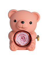Mountova Teddy Bear and Rose, Gift Box with Rotating Eternal Flower(Blush Pink)