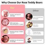 Mountova Teddy Bear and Rose, Gift Box with Rotating Eternal Flower(Blush Pink)