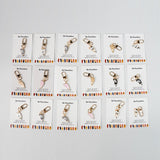 Paw Cat Pocket Hug Set,  18 Pieces for 1 Set