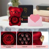 Red Teddy Bear and Preserved Flower with Heartfelt Message
