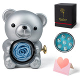 Silver Gray Teddy Bear and Preserved Flower with Heartfelt Message
