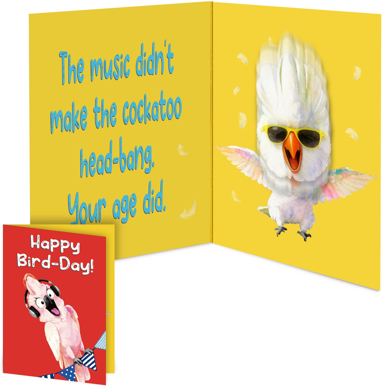 Funny Musical Birthday Card with Singing & Head-Banging Parrot, Sound & Shaking Pop Up Birthday Card for Men Women Kids, Happy Birthday Gift for Friends, Family, Coworkers