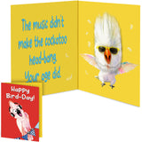 Funny Musical Birthday Card with Singing & Head-Banging Parrot, Sound & Shaking Pop Up Birthday Card for Men Women Kids, Happy Birthday Gift for Friends, Family, Coworkers