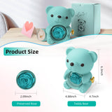 Mountova Teddy Bear with Preserved Flower（Tiffany Blue)