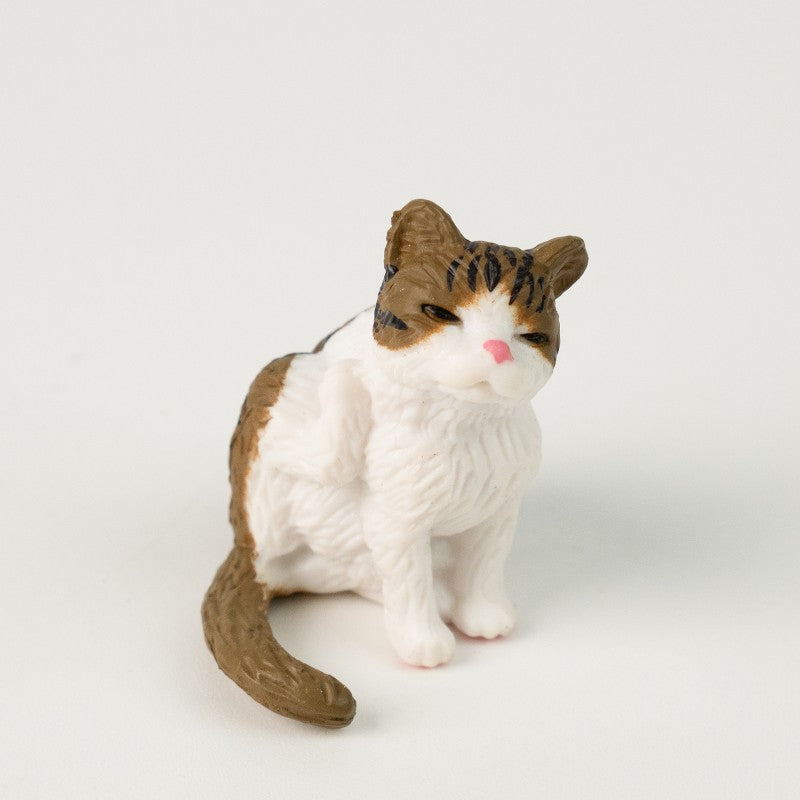 Cute Little Cat, Pocket Hug, 10 Pieces for 1 Set