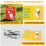 Funny Musical Birthday Card with Singing & Head-Banging Parrot, Sound & Shaking Pop Up Birthday Card for Men Women Kids, Happy Birthday Gift for Friends, Family, Coworkers