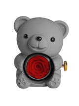 Mountova Teddy Bear Gift Box with Rotating Eternal Flower（ Grey)
