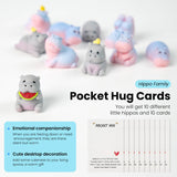 Happy Hippo Pocket Hug Set, 10 Pieces for a Set