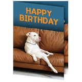 Mountova Funny Animated Birthday Card with Sound, Shaking Barbell Dog, Interactive Humorous Greeting Card with Envelope, Happy Birthday Gift for Family, Friends, Coworkers