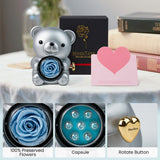 Silver Gray Teddy Bear and Preserved Flower with Heartfelt Message