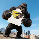 Funny Birthday Card with Sound, Shaking Gorilla Musical Interactive Greeting Card for Men Women Kids, Happy Birthday Gag Gift for Family Friends Coworkers