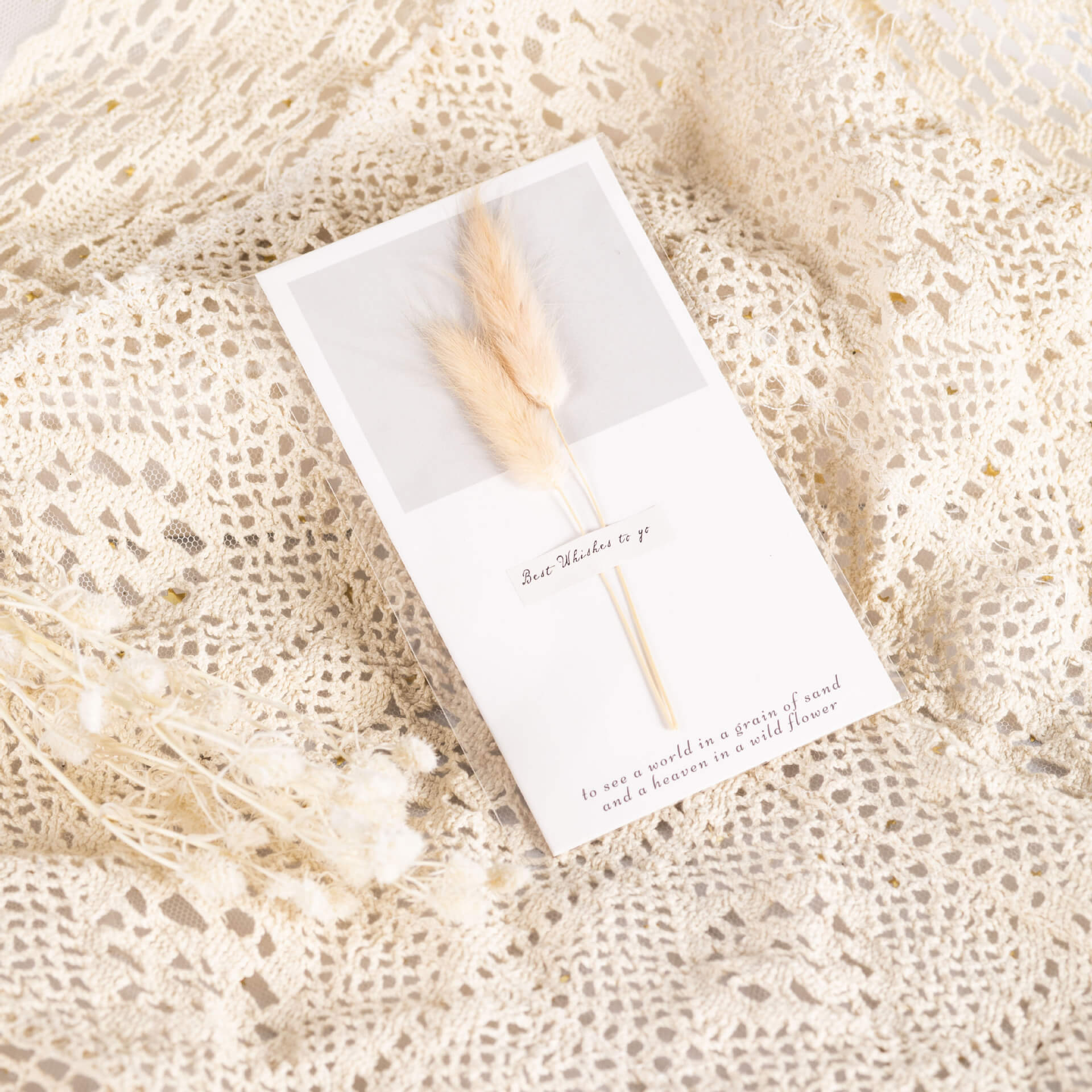 Handmade Preserved Flower Card, 23 Pieces for 1 Set