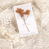 Handmade Preserved Flower Card, 23 Pieces for 1 Set
