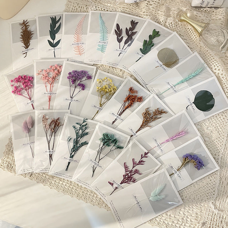 Handmade Preserved Flower Card, 23 Pieces for 1 Set