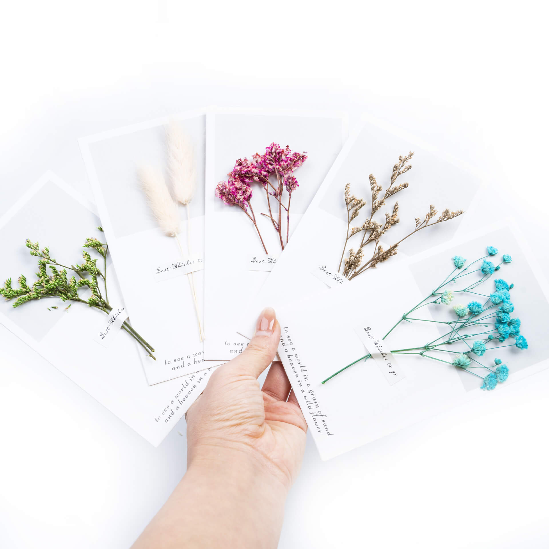 Handmade Preserved Flower Card, 23 Pieces for 1 Set