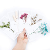 Handmade Preserved Flower Card, 23 Pieces for 1 Set