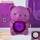 Mountova Teddy Bear Gift Box with Rotating Eternal Flower（Royal Purple）