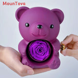 Mountova Teddy Bear Gift Box with Rotating Eternal Flower（Royal Purple）