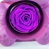 Mountova Teddy Bear Gift Box with Rotating Eternal Flower（Royal Purple）