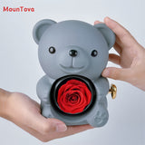 Mountova Teddy Bear Gift Box with Rotating Eternal Flower（ Grey)