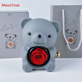 Mountova Teddy Bear Gift Box with Rotating Eternal Flower（ Grey)