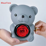 Mountova Teddy Bear Gift Box with Rotating Eternal Flower（ Grey)