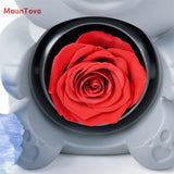 Mountova Teddy Bear Gift Box with Rotating Eternal Flower（ Grey)