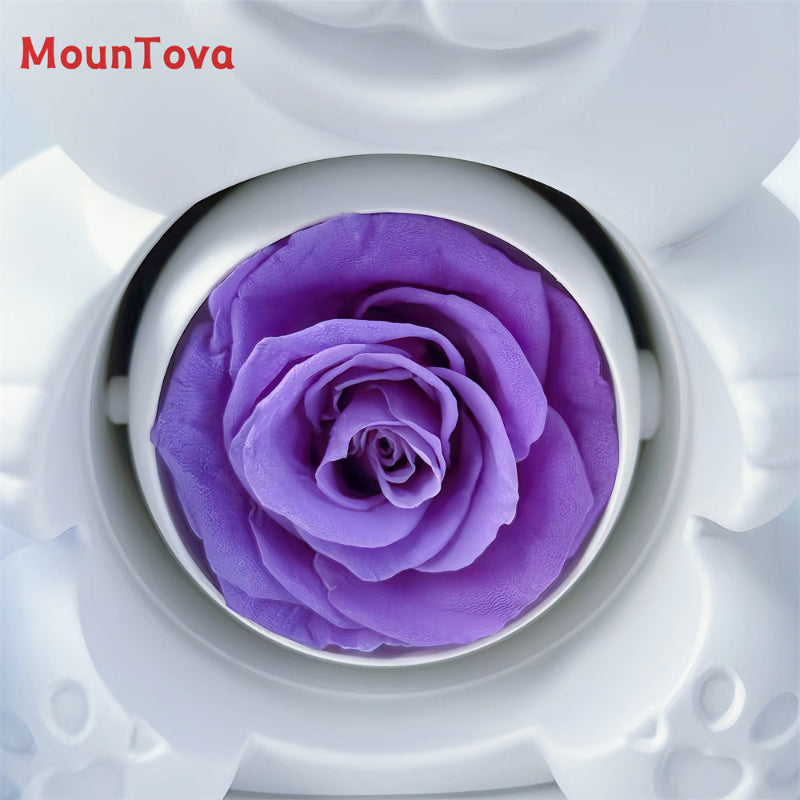 MounTova Teddy Bear with Preserved Flower, Gift Box with Necklace（White)