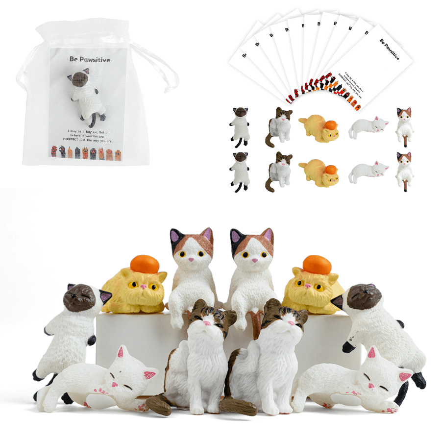 Câlin de poche 3D « Be Pawsitive » pour chat | Cadeau sentimental pour les amoureux des chats