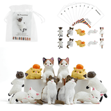 Câlin de poche 3D « Be Pawsitive » pour chat | Cadeau sentimental pour les amoureux des chats