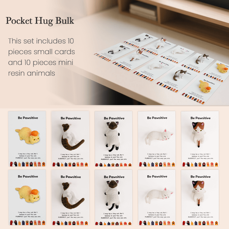 Câlin de poche 3D « Be Pawsitive » pour chat | Cadeau sentimental pour les amoureux des chats
