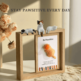 Câlin de poche 3D « Be Pawsitive » pour chat | Cadeau sentimental pour les amoureux des chats