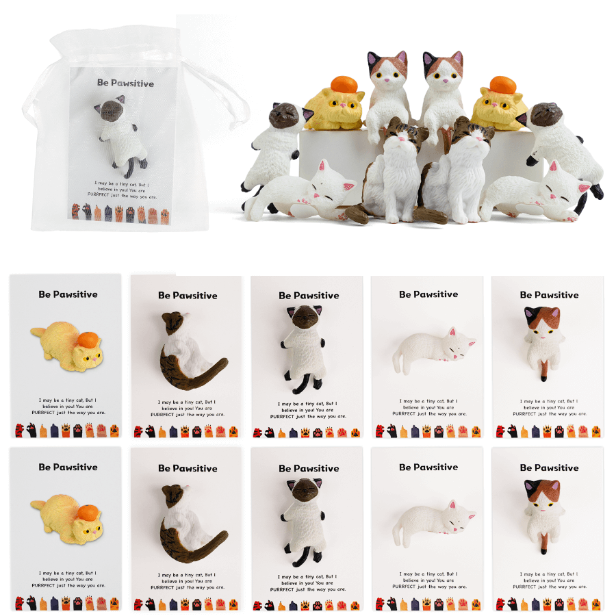 Câlin de poche 3D « Be Pawsitive » pour chat | Cadeau sentimental pour les amoureux des chats