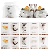 Câlin de poche 3D « Be Pawsitive » pour chat | Cadeau sentimental pour les amoureux des chats